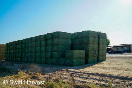 Martinez Farms Big Bale Alfalfa 47-5 Supreme/Premium AZ Alfalfa Big Bales CP 20 RFV 203 TDN 62 FACS 101/110