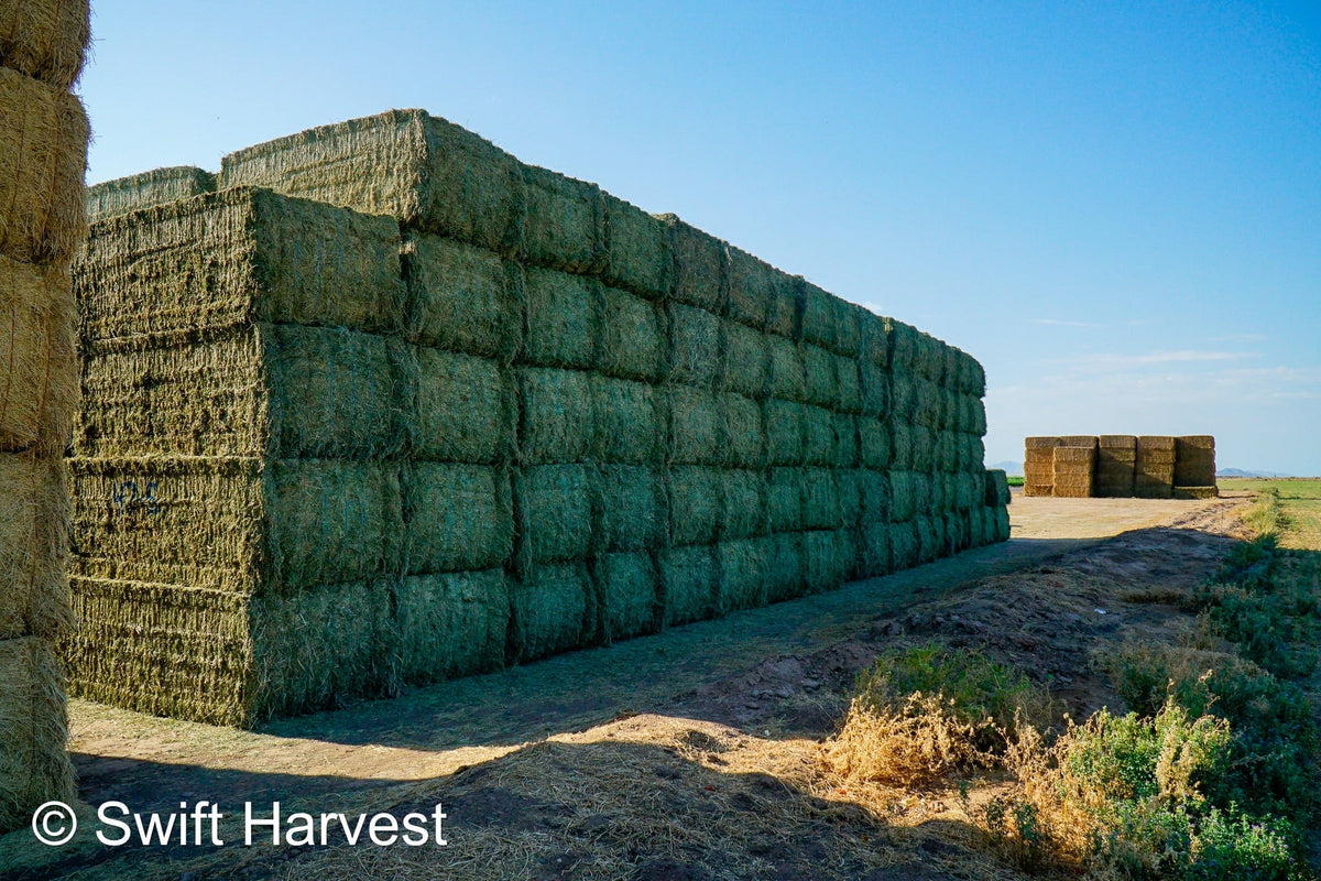 Martinez Farms Big Bale Alfalfa 47-5 Supreme/Premium AZ Alfalfa Big Bales CP 20 RFV 203 TDN 62 FACS 101/110