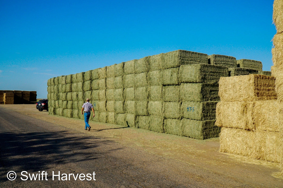 Martinez Farms Big Bale Alfalfa 47-5 Supreme/Premium AZ Alfalfa Big Bales CP 20 RFV 203 TDN 62 FACS 101/110