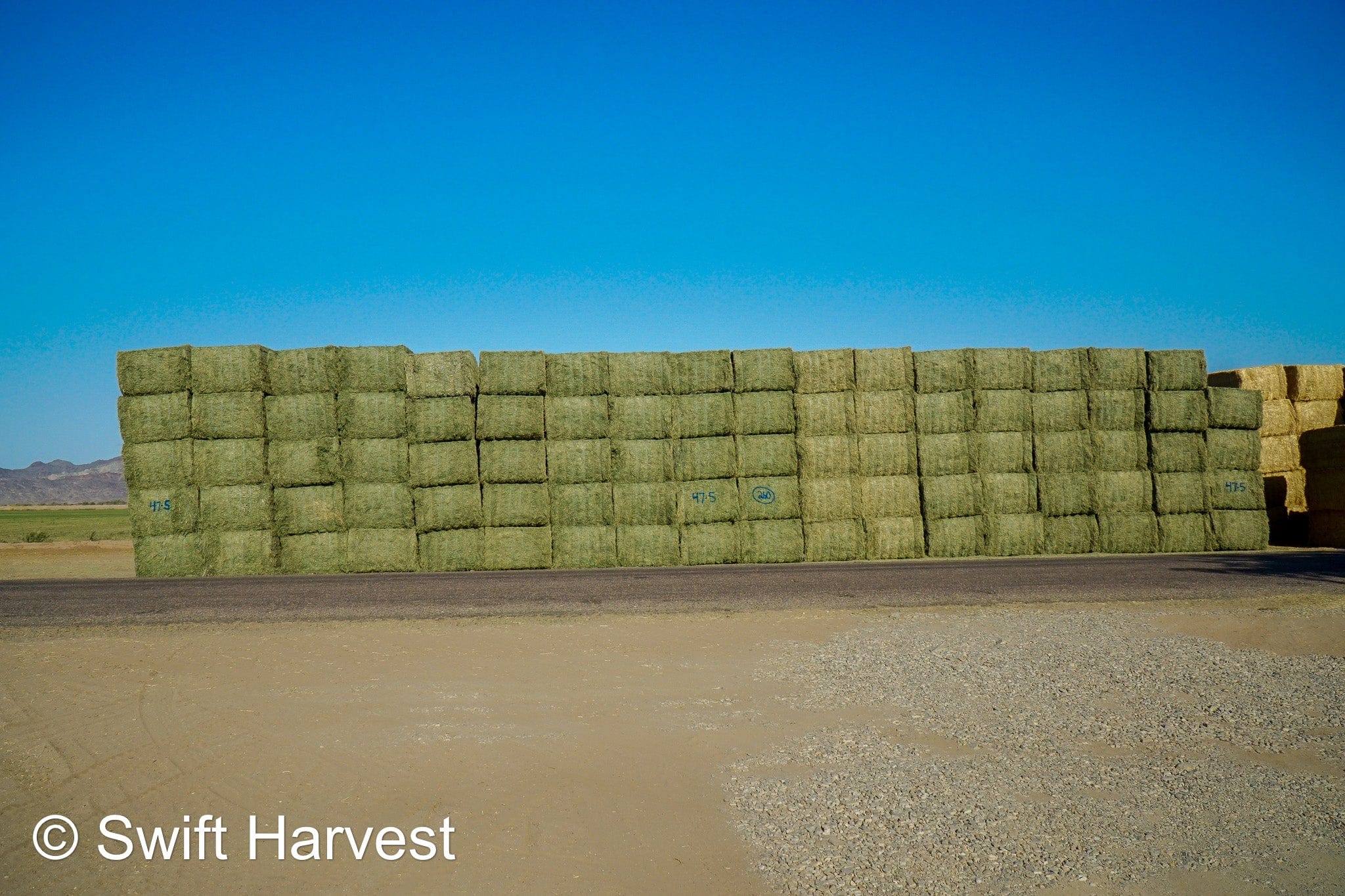 Martinez Farms Big Bale Alfalfa 47-5 Supreme/Premium AZ Alfalfa Big Bales CP 20 RFV 203 TDN 62 FACS 101/110