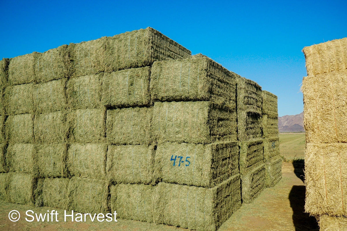 Martinez Farms Big Bale Alfalfa 47-5 Supreme/Premium AZ Alfalfa Big Bales CP 20 RFV 203 TDN 62 FACS 101/110