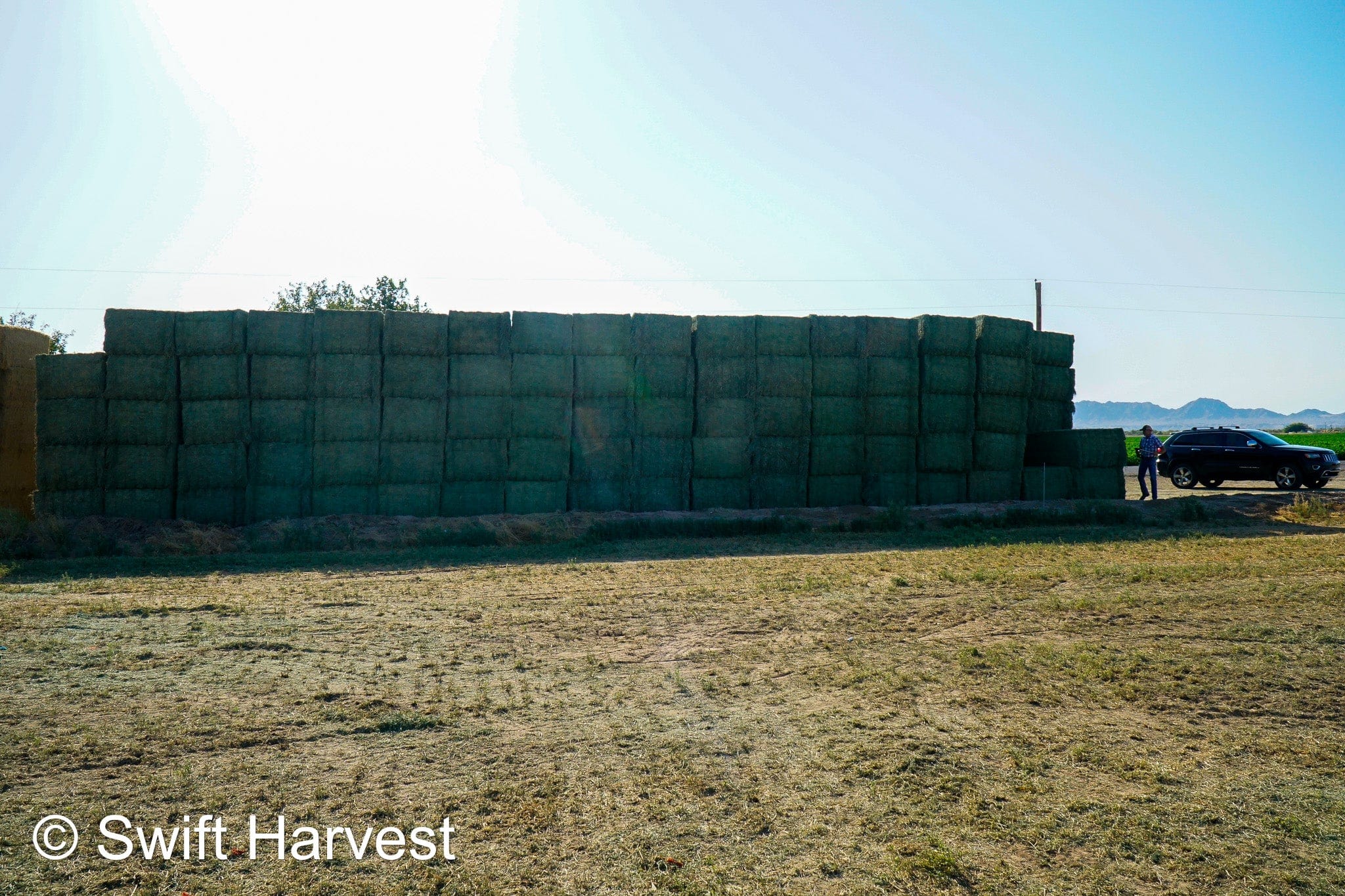 Martinez Farms Big Bale Alfalfa 47-5 Supreme/Premium AZ Alfalfa Big Bales CP 20 RFV 203 TDN 62 FACS 101/110