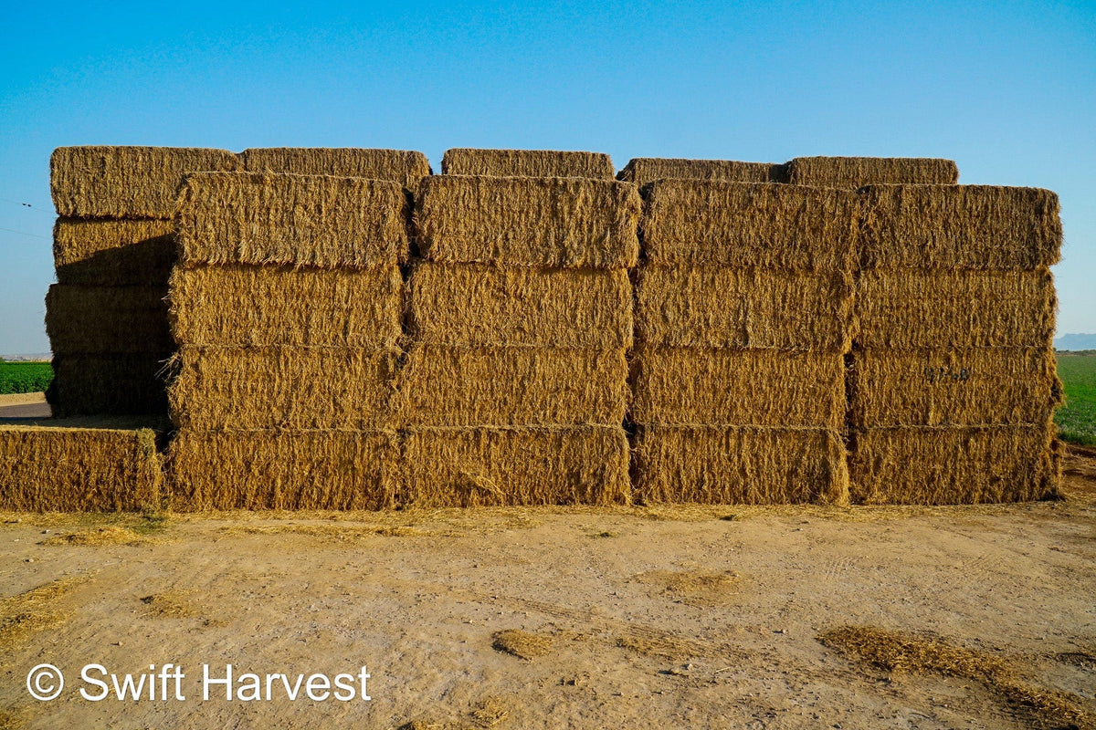 Martinez Farms Big Bale Alfalfa 47-6-B Utility AZ Alfalfa Big Bales per ton CP 15 RFV 101 TDN 53 FACS 73/110