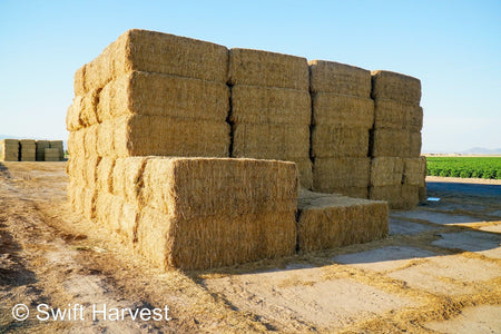 Martinez Farms Big Bale Alfalfa 47-6-B Utility AZ Alfalfa Big Bales per ton CP 15 RFV 101 TDN 53 FACS 73/110