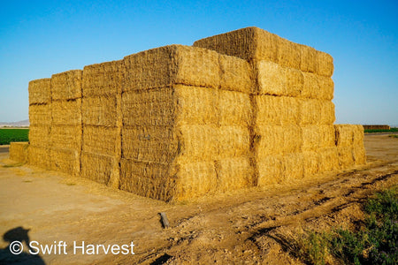 Martinez Farms Big Bale Alfalfa 47-6-B Utility AZ Alfalfa Big Bales per ton CP 15 RFV 101 TDN 53 FACS 73/110