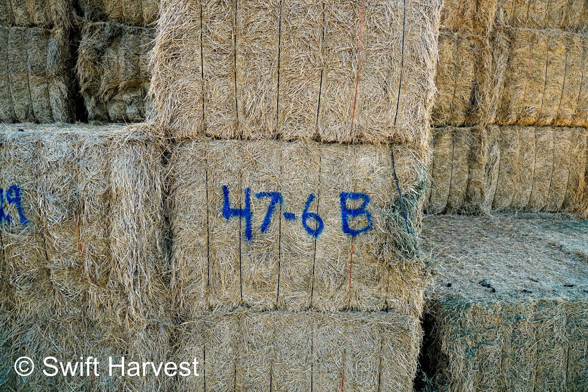 Martinez Farms Big Bale Alfalfa 47-6-B Utility AZ Alfalfa Big Bales per ton CP 15 RFV 101 TDN 53 FACS 73/110