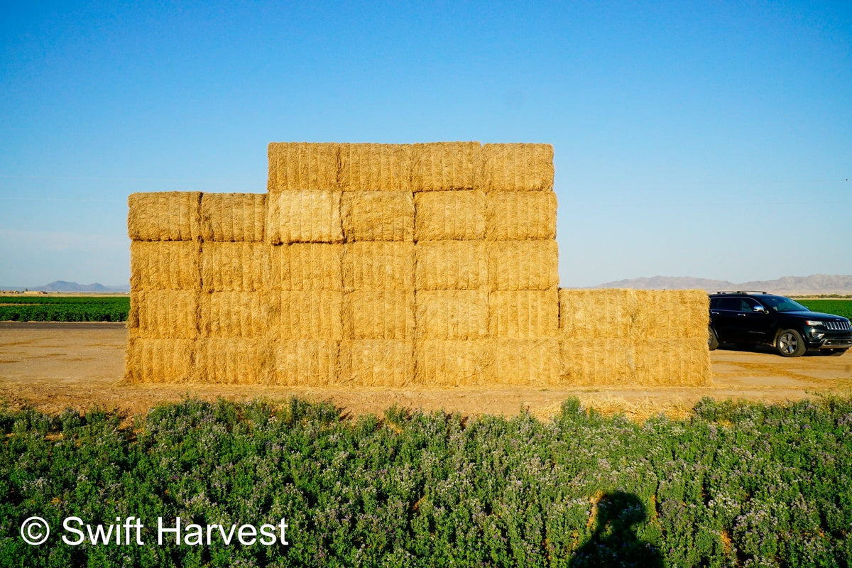 Martinez Farms Big Bale Alfalfa 47-6-B Utility AZ Alfalfa Big Bales per ton CP 15 RFV 101 TDN 53 FACS 73/110