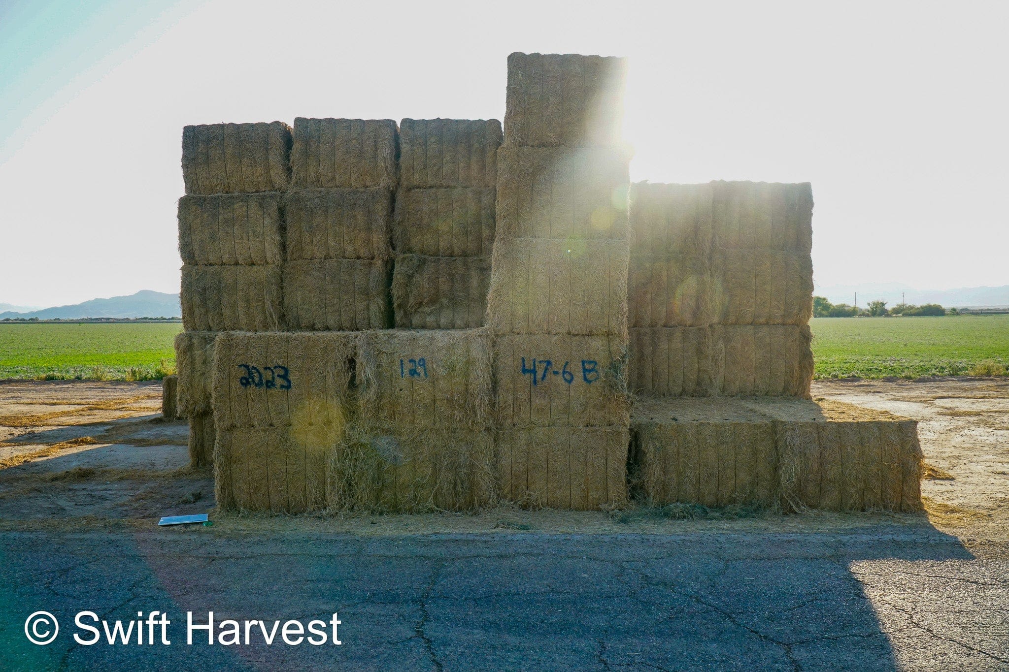 Martinez Farms Big Bale Alfalfa 47-6-B Utility AZ Alfalfa Big Bales per ton CP 15 RFV 101 TDN 53 FACS 73/110