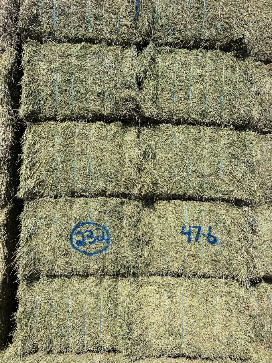 Martinez Farms Big Bale Alfalfa 47-6 Fair AZ Big Bales Alfalfa CP 18 RFV 116 TDN 53 FACS 86/110