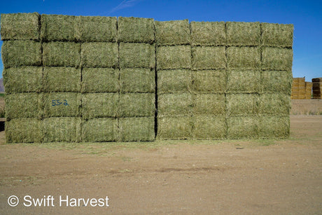 Martinez Farms Big Bale Alfalfa 55-2 A Premium Supreme Alfalfa Test Hay Big Bales est 56 tons 180.93 RFV