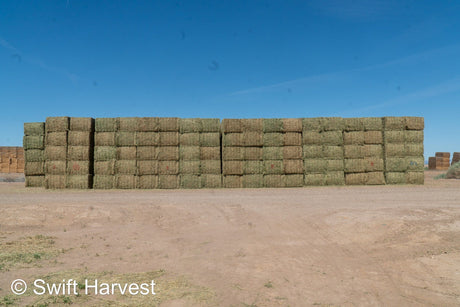 Martinez Farms Big Bale Alfalfa 55-2 B Supreme Premium Alfalfa Test Hay Big Bales est 133 tons