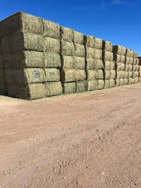 Martinez Farms Big Bale Alfalfa 55-4  Supreme/Premium AZ Alfalfa Test Hay Big Bales CP 21 RFV 207 TDN 62 FACS 91/110