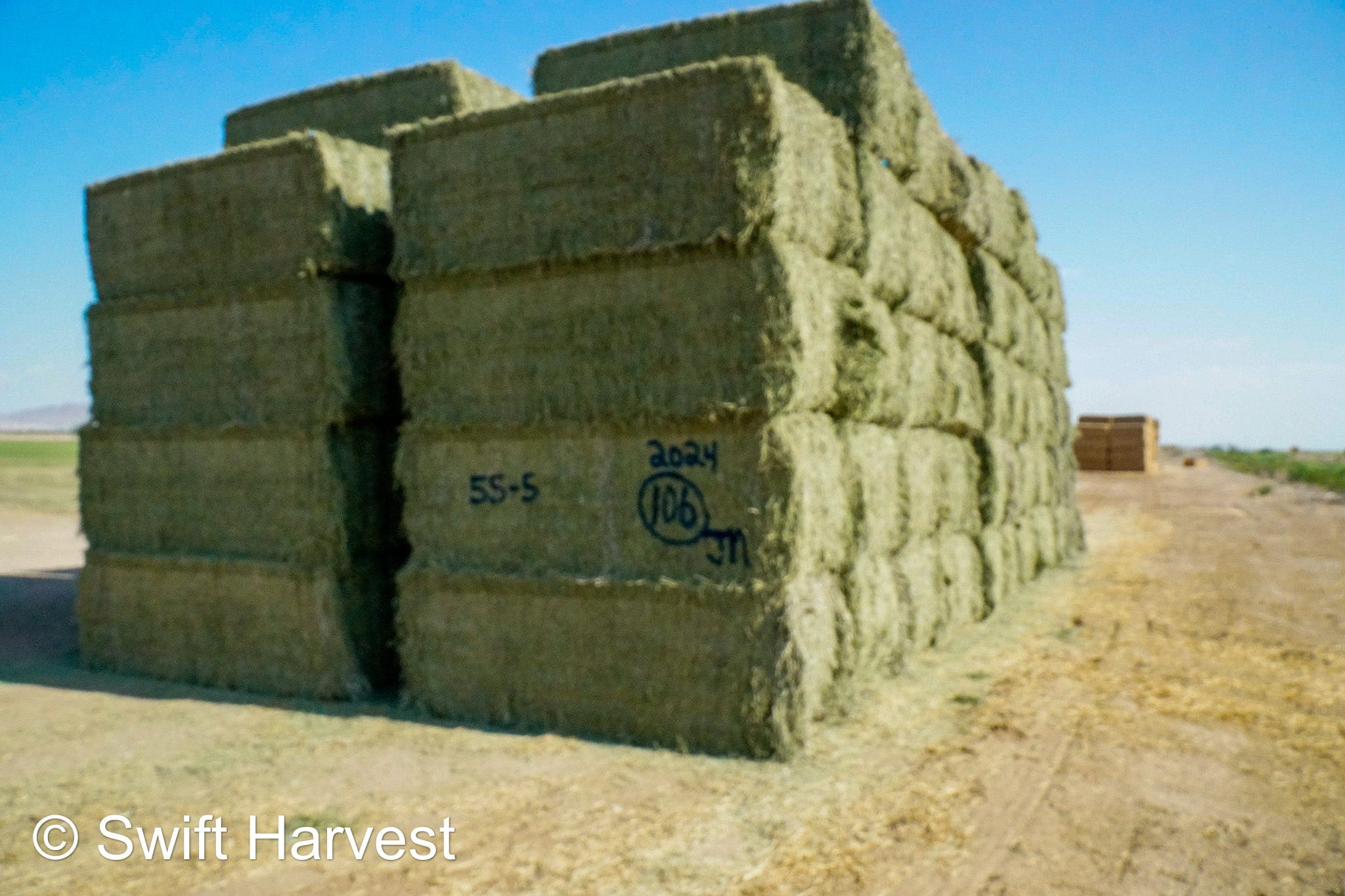 Martinez Farms Big Bale Alfalfa 55-4  Supreme/Premium AZ Alfalfa Test Hay Big Bales CP 21 RFV 207 TDN 62 FACS 91/110