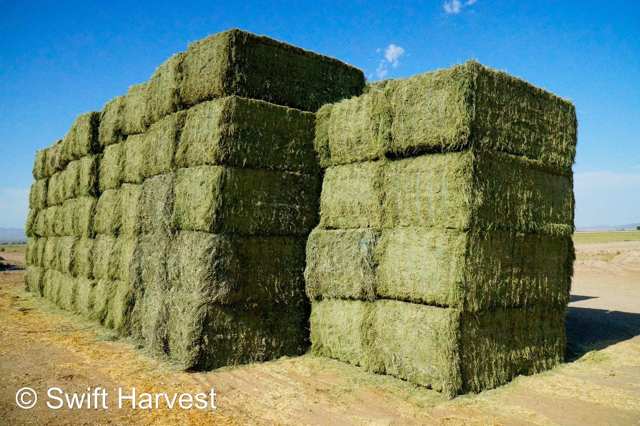 Martinez Farms Big Bale Alfalfa 55-4  Supreme/Premium AZ Alfalfa Test Hay Big Bales CP 21 RFV 207 TDN 62 FACS 91/110