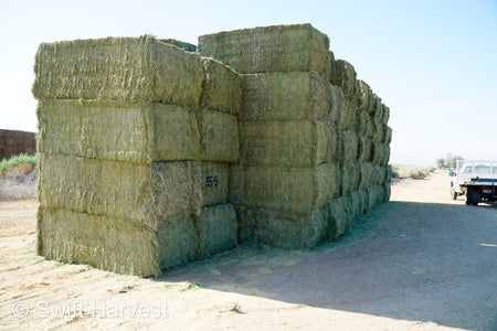 Martinez Farms Big Bale Alfalfa 55-4  Supreme/Premium AZ Alfalfa Test Hay Big Bales CP 21 RFV 207 TDN 62 FACS 91/110