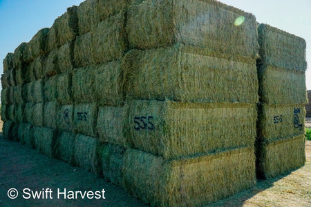 Martinez Farms Big Bale Alfalfa 55-4  Supreme/Premium AZ Alfalfa Test Hay Big Bales CP 21 RFV 207 TDN 62 FACS 91/110