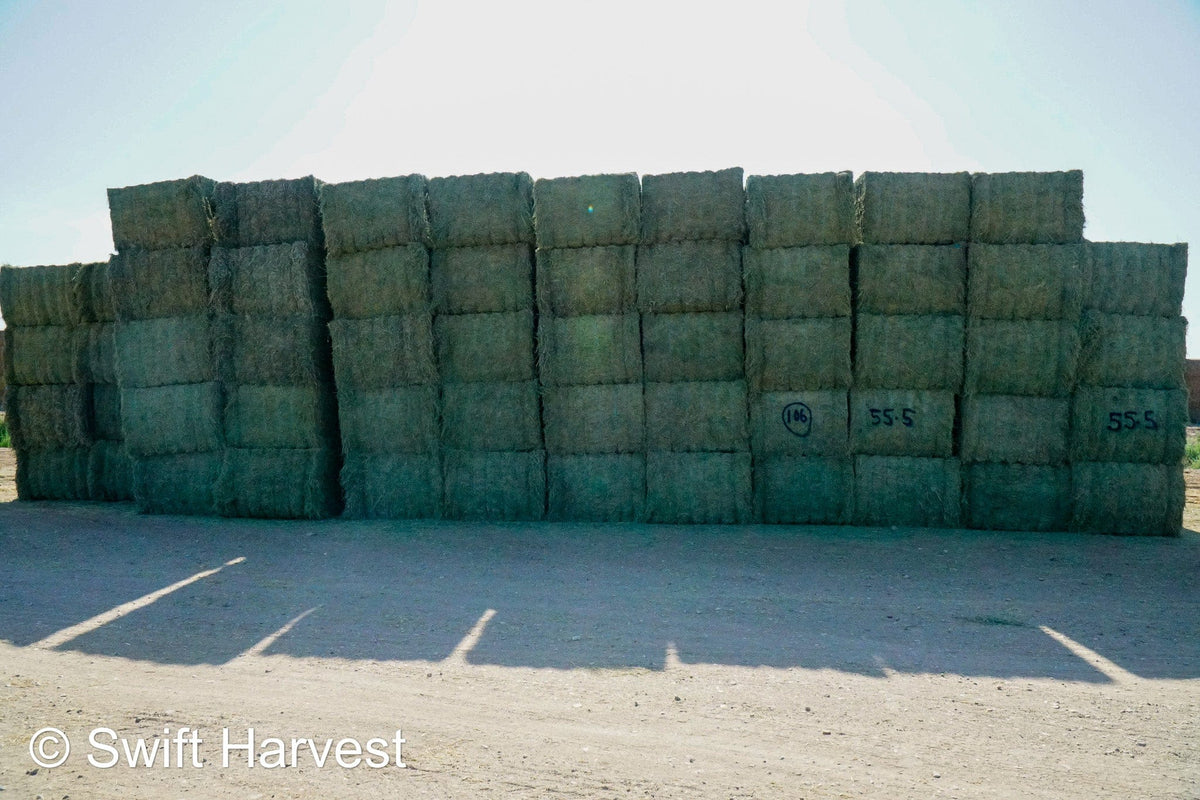 Martinez Farms Big Bale Alfalfa 55-4  Supreme/Premium AZ Alfalfa Test Hay Big Bales CP 21 RFV 207 TDN 62 FACS 91/110