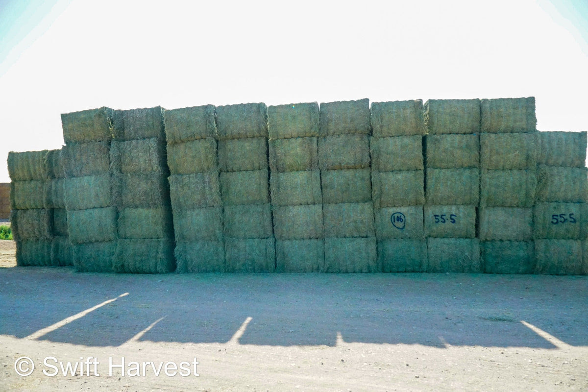 Martinez Farms Big Bale Alfalfa 55-4  Supreme/Premium AZ Alfalfa Test Hay Big Bales CP 21 RFV 207 TDN 62 FACS 91/110