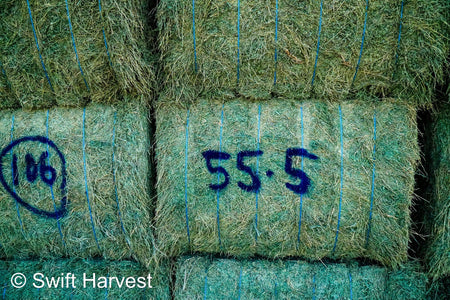 Martinez Farms Big Bale Alfalfa 55-4  Supreme/Premium AZ Alfalfa Test Hay Big Bales CP 21 RFV 207 TDN 62 FACS 91/110