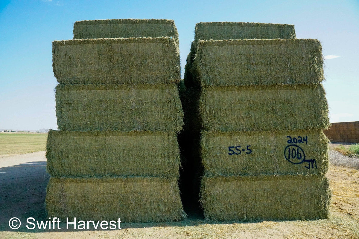 Martinez Farms Big Bale Alfalfa 55-4  Supreme/Premium AZ Alfalfa Test Hay Big Bales CP 21 RFV 207 TDN 62 FACS 91/110