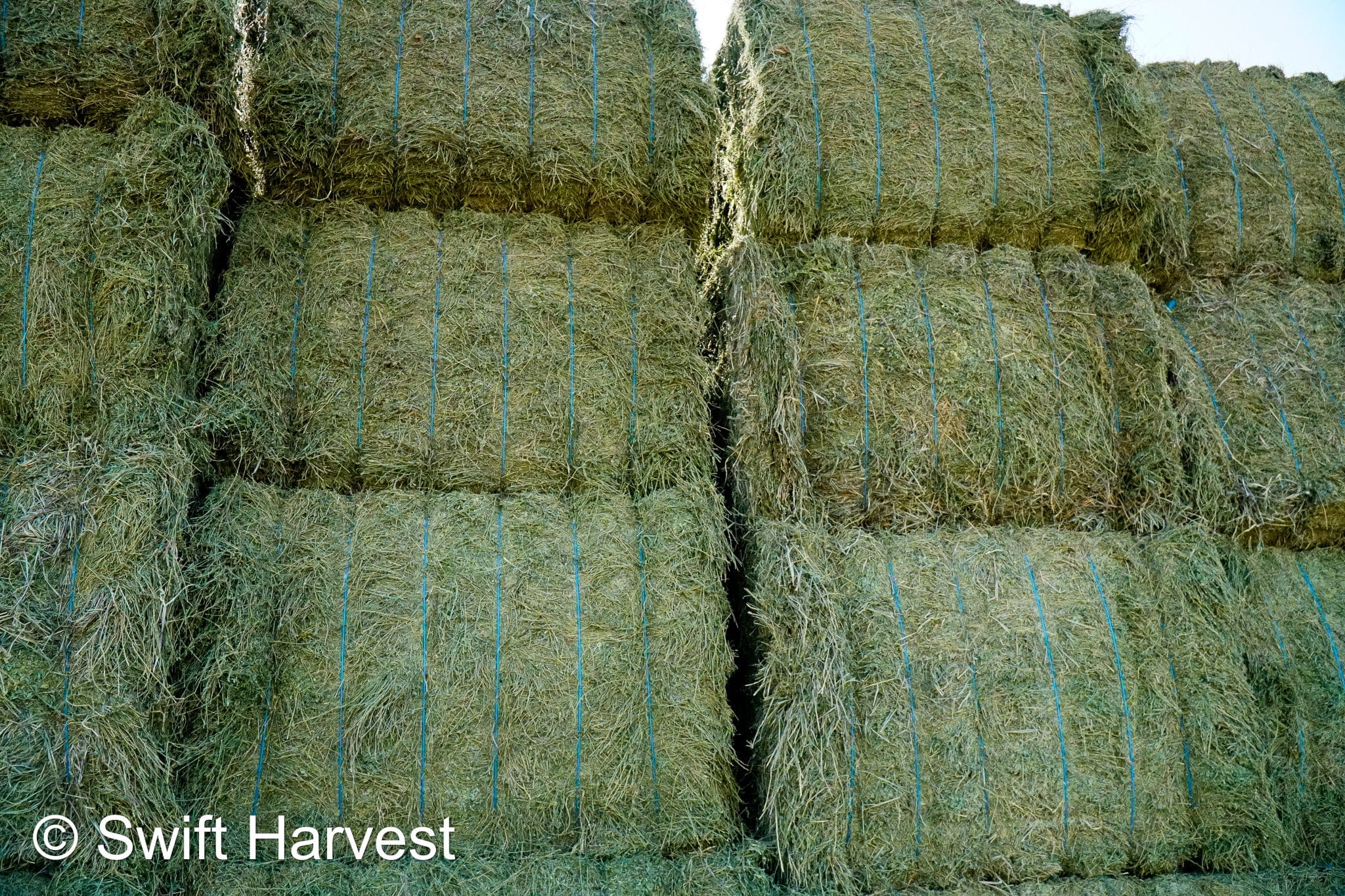 Martinez Farms Big Bale Alfalfa 55-4  Supreme/Premium AZ Alfalfa Test Hay Big Bales CP 21 RFV 207 TDN 62 FACS 91/110