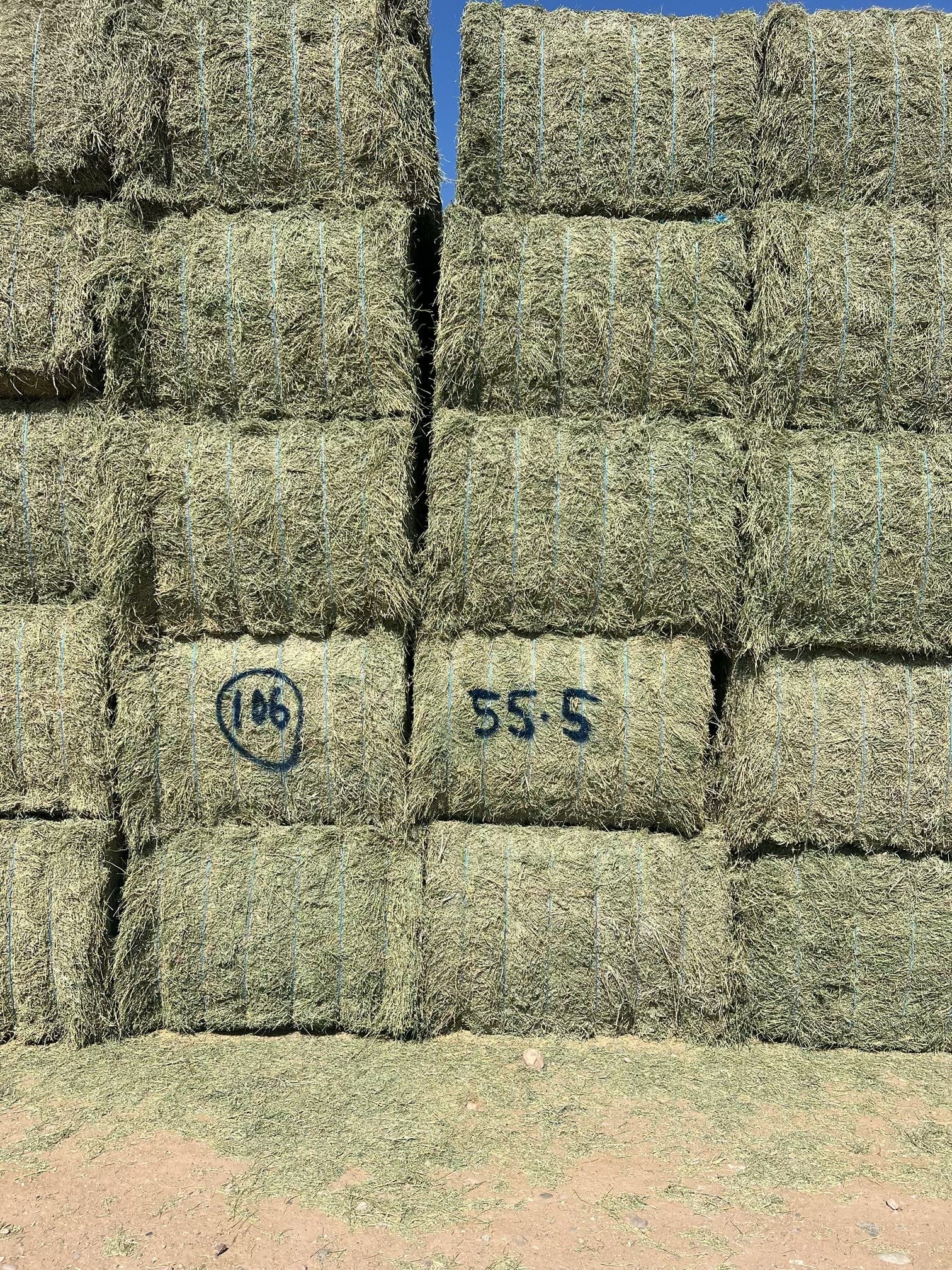 Martinez Farms Big Bale Alfalfa 55-5 AZ Alfalfa Big Bales FACS 94/110