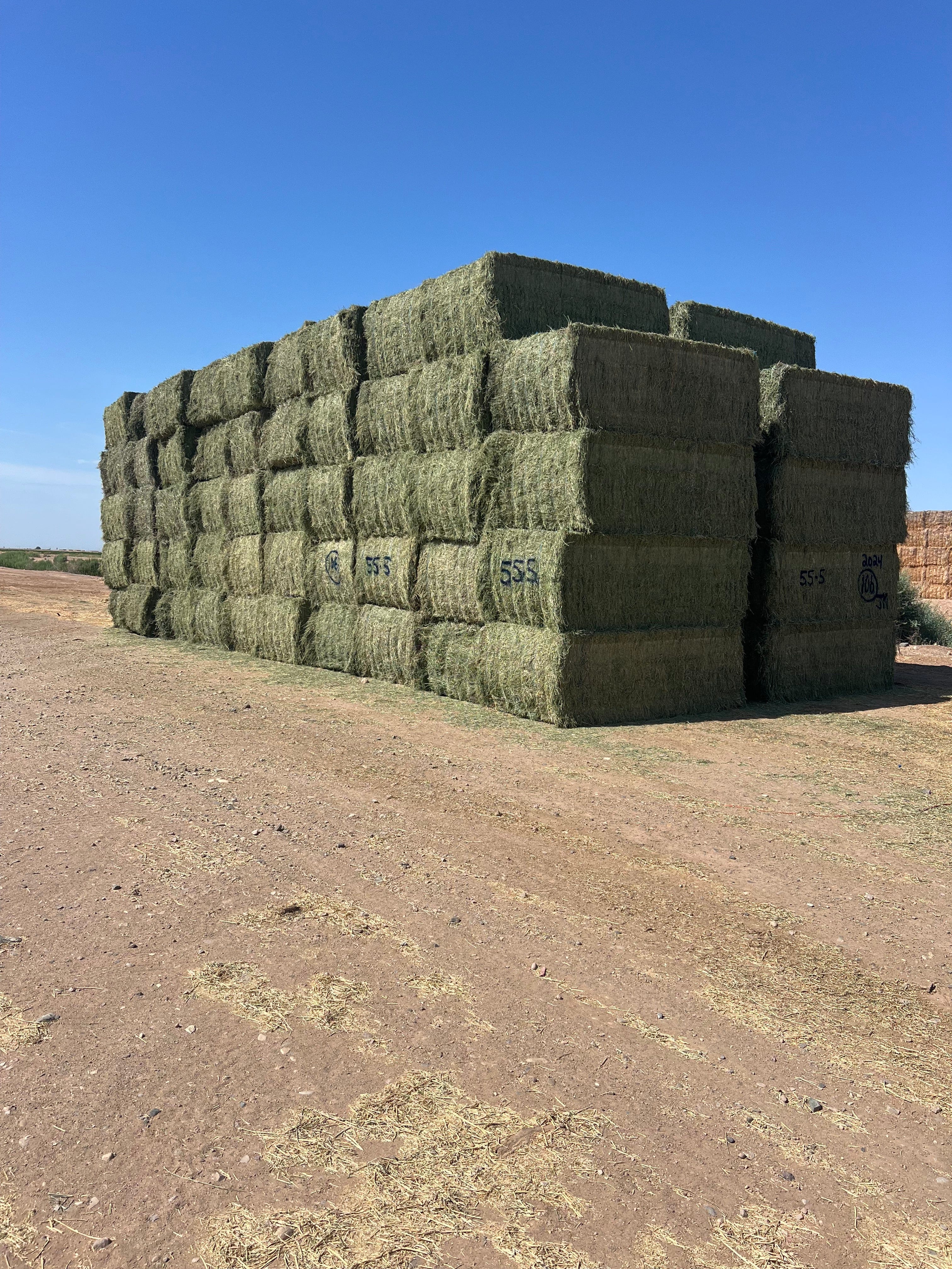 Martinez Farms Big Bale Alfalfa 55-5 AZ Alfalfa Big Bales FACS 94/110