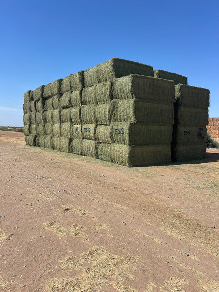 Martinez Farms Big Bale Alfalfa 55-5 AZ Alfalfa Big Bales FACS 94/110