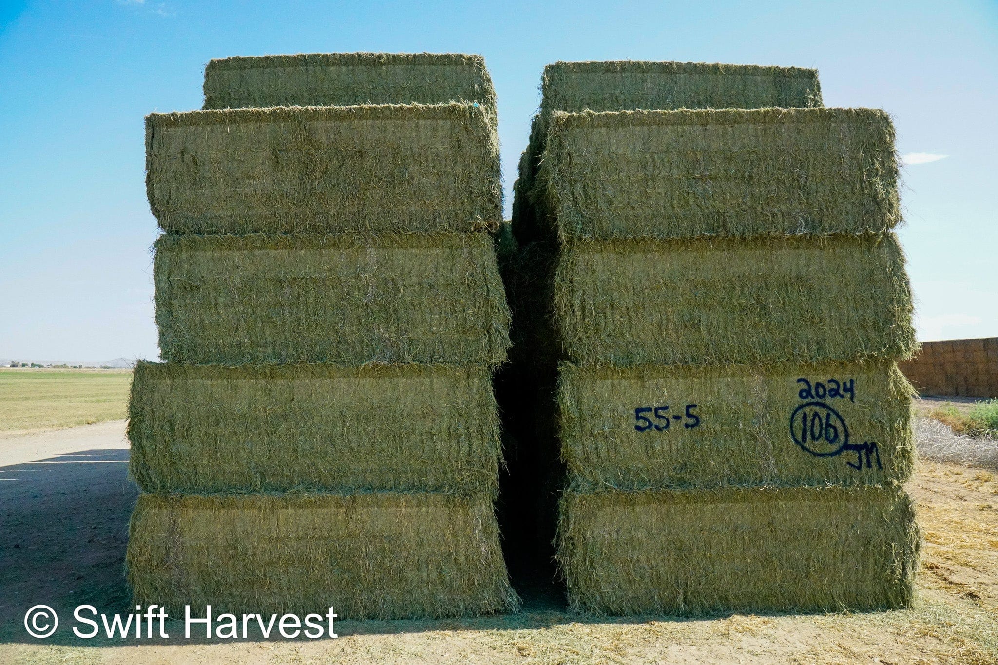 Martinez Farms Big Bale Alfalfa 55-5 AZ Alfalfa Big Bales FACS 94/110