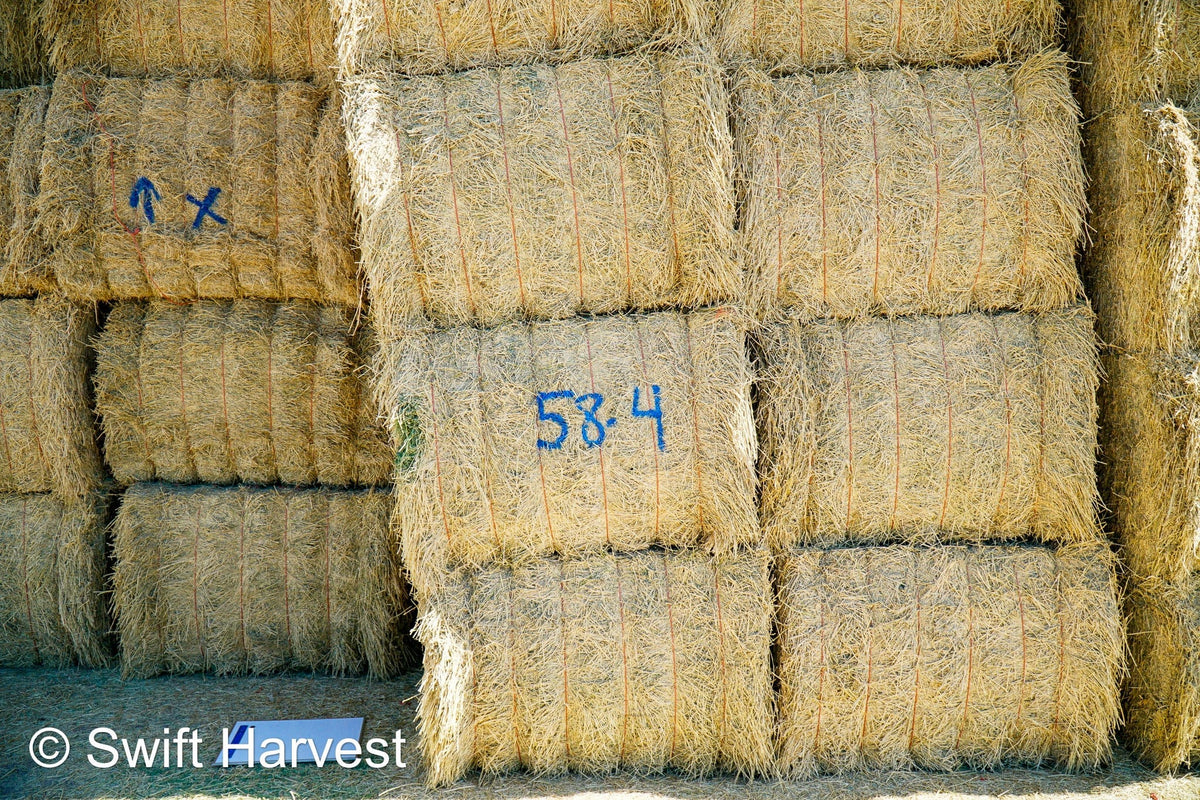 Martinez Farms Big Bale Alfalfa 58-4  Supreme/Premium AZ Alfalfa Test Hay Big Bales CP 20 RFV 189 TDN 60 FACS 92/110