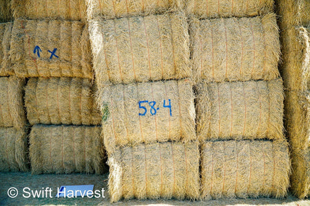 Martinez Farms Big Bale Alfalfa 58-4  Supreme/Premium AZ Alfalfa Test Hay Big Bales CP 20 RFV 189 TDN 60 FACS 92/110