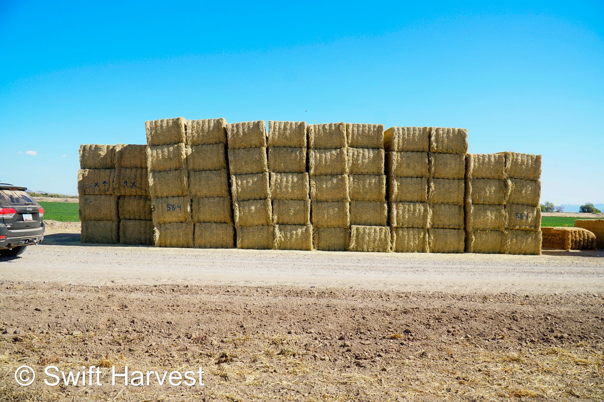 Martinez Farms Big Bale Alfalfa 58-4  Supreme/Premium AZ Alfalfa Test Hay Big Bales CP 20 RFV 189 TDN 60 FACS 92/110