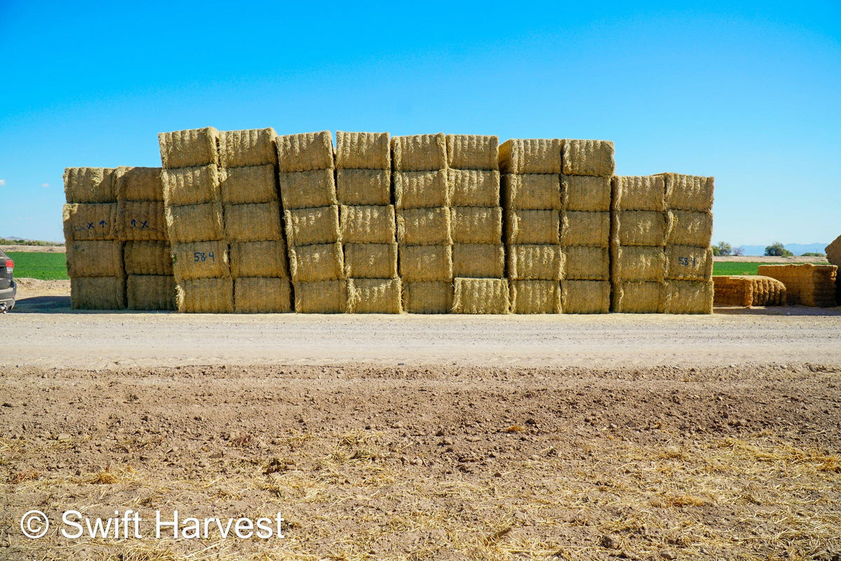 Martinez Farms Big Bale Alfalfa 58-4  Supreme/Premium AZ Alfalfa Test Hay Big Bales CP 20 RFV 189 TDN 60 FACS 92/110