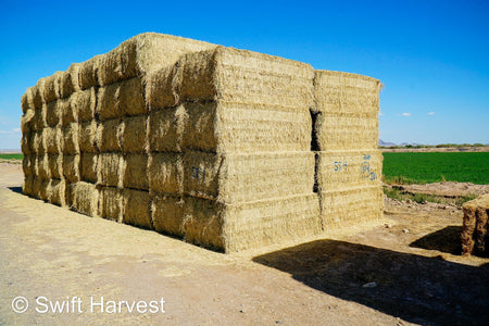 Martinez Farms Big Bale Alfalfa 58-4  Supreme/Premium AZ Alfalfa Test Hay Big Bales CP 20 RFV 189 TDN 60 FACS 92/110