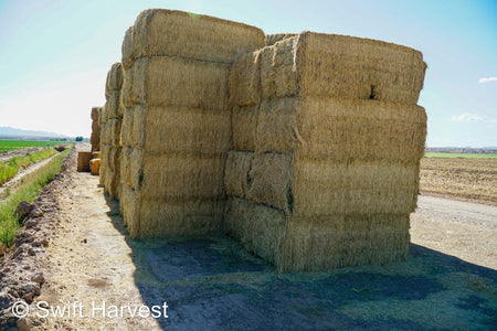 Martinez Farms Big Bale Alfalfa 58-4  Supreme/Premium AZ Alfalfa Test Hay Big Bales CP 20 RFV 189 TDN 60 FACS 92/110