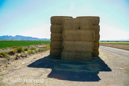 Martinez Farms Big Bale Alfalfa 58-4  Supreme/Premium AZ Alfalfa Test Hay Big Bales CP 20 RFV 189 TDN 60 FACS 92/110