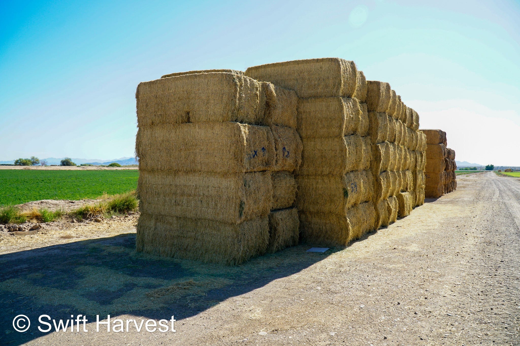 Martinez Farms Big Bale Alfalfa 58-4  Supreme/Premium AZ Alfalfa Test Hay Big Bales CP 20 RFV 189 TDN 60 FACS 92/110