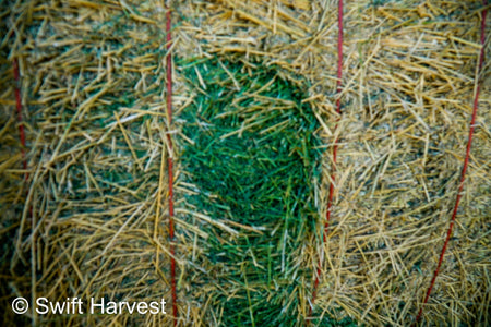 Martinez Farms Big Bale Alfalfa 58-4  Supreme/Premium AZ Alfalfa Test Hay Big Bales CP 20 RFV 189 TDN 60 FACS 92/110