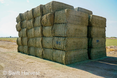 Martinez Farms Big Bale Alfalfa 58-5  AZ Alfalfa Test Hay Big Bales FACS 94/110