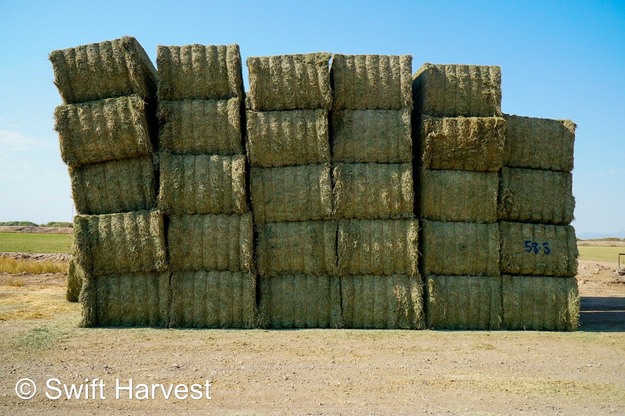 Martinez Farms Big Bale Alfalfa 58-5  AZ Alfalfa Test Hay Big Bales FACS 94/110