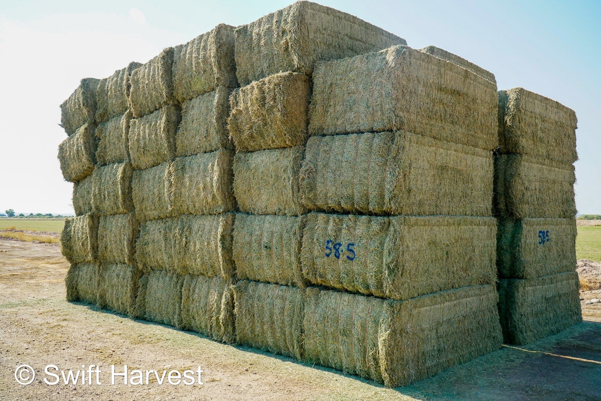 Martinez Farms Big Bale Alfalfa 58-5  AZ Alfalfa Test Hay Big Bales FACS 94/110