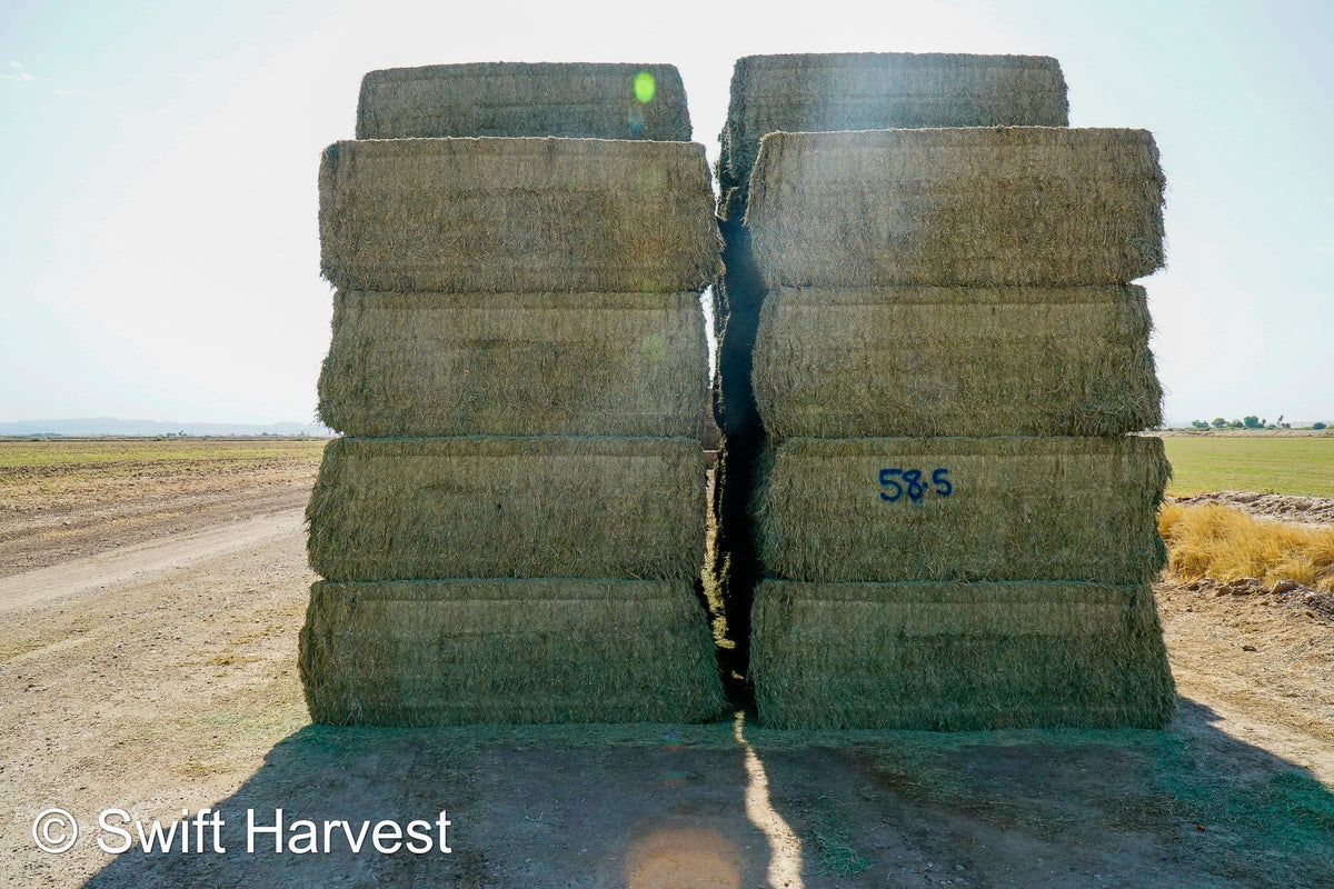 Martinez Farms Big Bale Alfalfa 58-5 Good  AZ Alfalfa Test Hay Big Bales CP 19 RFV 166 TDN 58 FACS 94/110