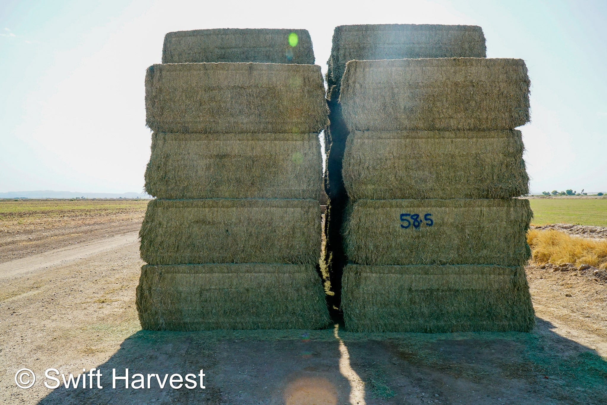 Martinez Farms Big Bale Alfalfa 58-5 Good  AZ Alfalfa Test Hay Big Bales CP 19 RFV 166 TDN 58 FACS 94/110