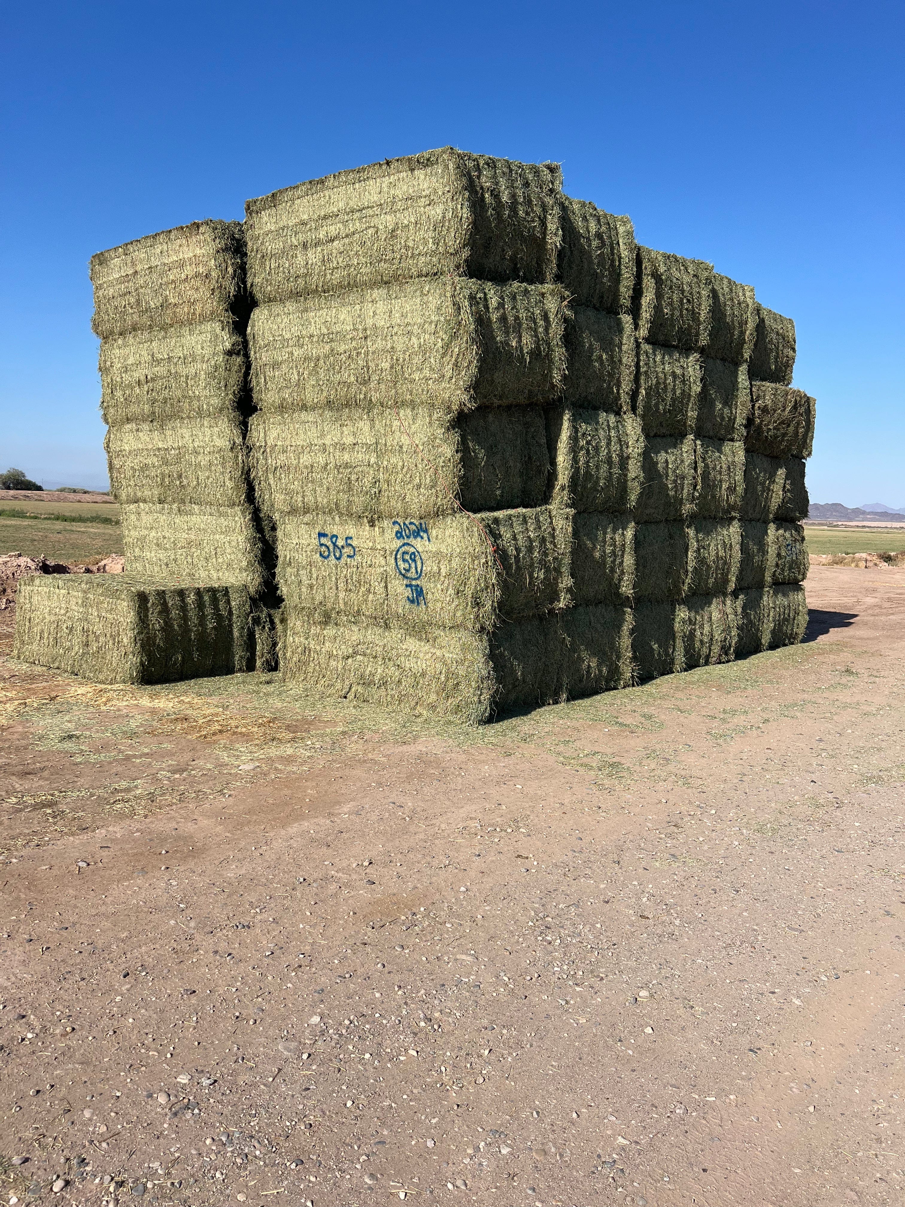 Martinez Farms Big Bale Alfalfa 58-5  Supreme/Premium AZ Alfalfa Test Hay Big Bales FACS 94/110