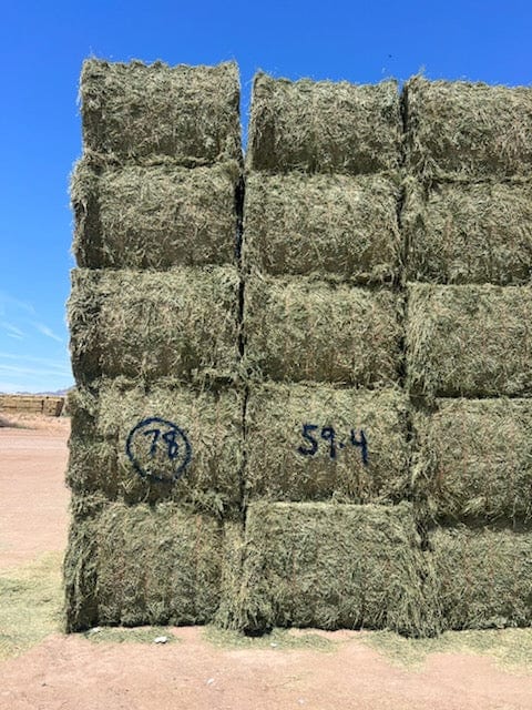 Martinez Farms Big Bale Alfalfa 59-4  Good/ Fair Alfalfa Test Hay Big Bales CP 18 RFV 118 TDN 56 FACS 98 /110