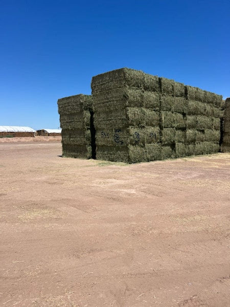 Martinez Farms Big Bale Alfalfa 59-4  Good/ Fair Alfalfa Test Hay Big Bales CP 18 RFV 118 TDN 56 FACS 98 /110