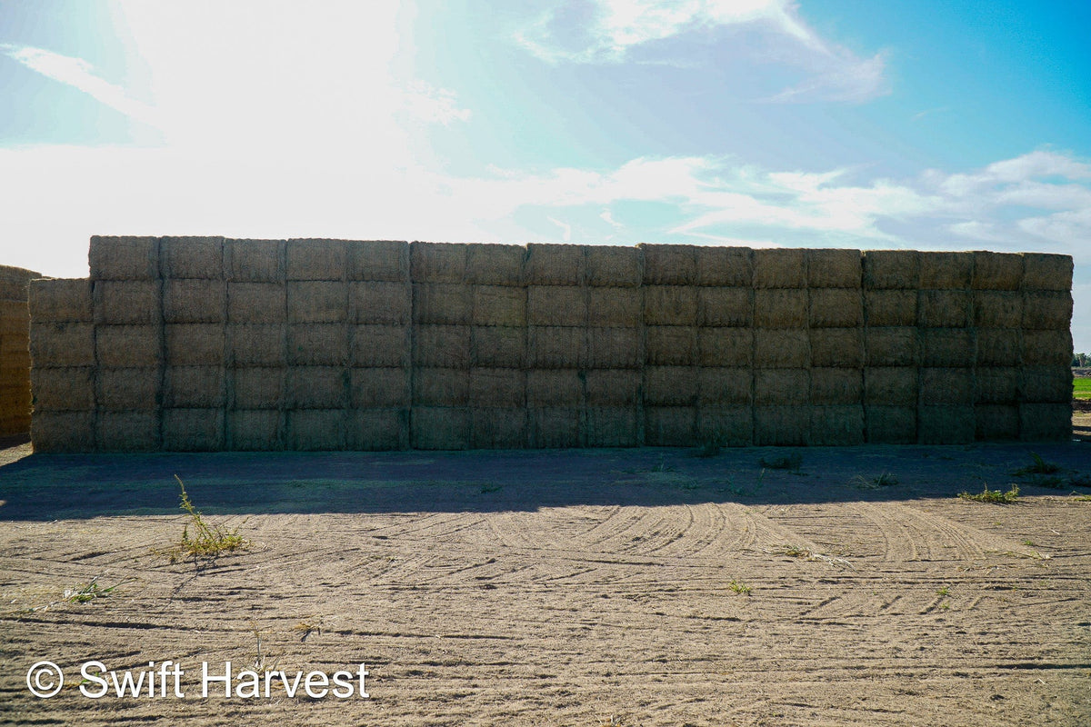 Martinez Farms Big Bale Alfalfa 59-4  Good/Fair Alfalfa Test Hay Big Bales CP 18 RFV 118 TDN 56 FACS 98 /110