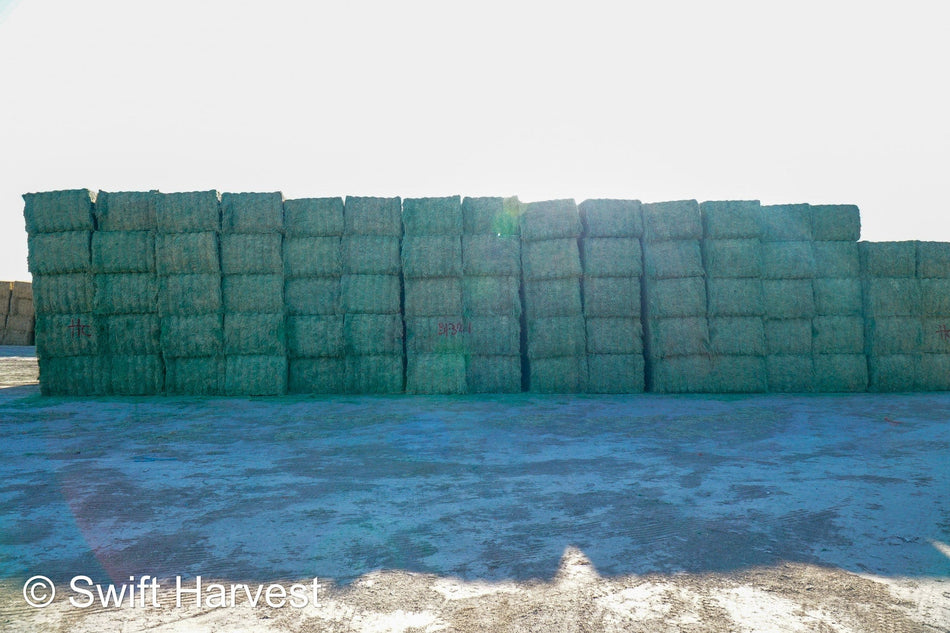 Martinez Farms Big Bale Alfalfa B1-3-24 Supreme Alfalfa Test Hay Big Bales RFV 195.94 CP 24.17 TDN 63.35 SH 93/110