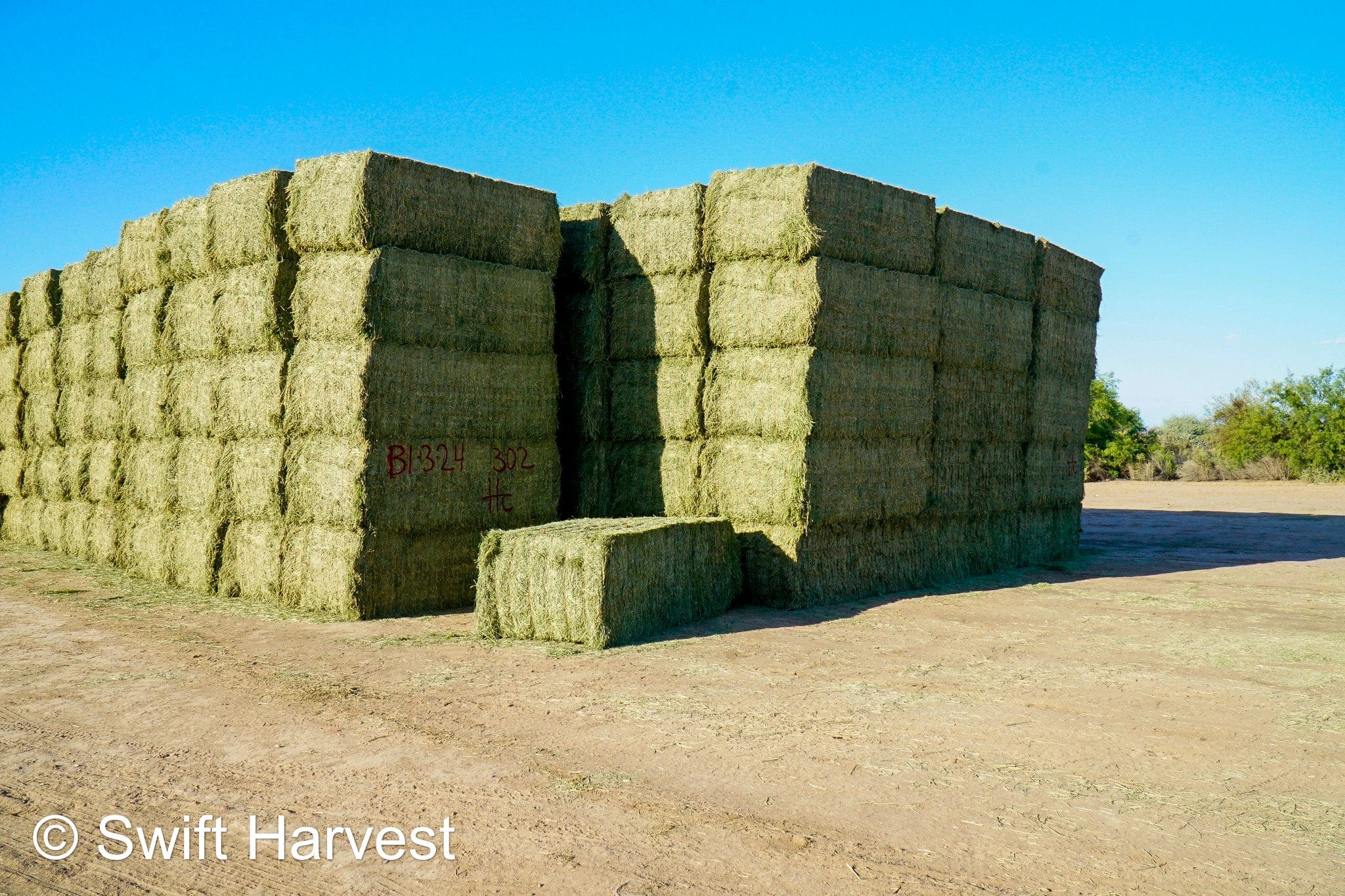 Martinez Farms Big Bale Alfalfa B1-3-24 Supreme Alfalfa Test Hay Big Bales RFV 195.94 CP 24.17 TDN 63.35 SH 93/110