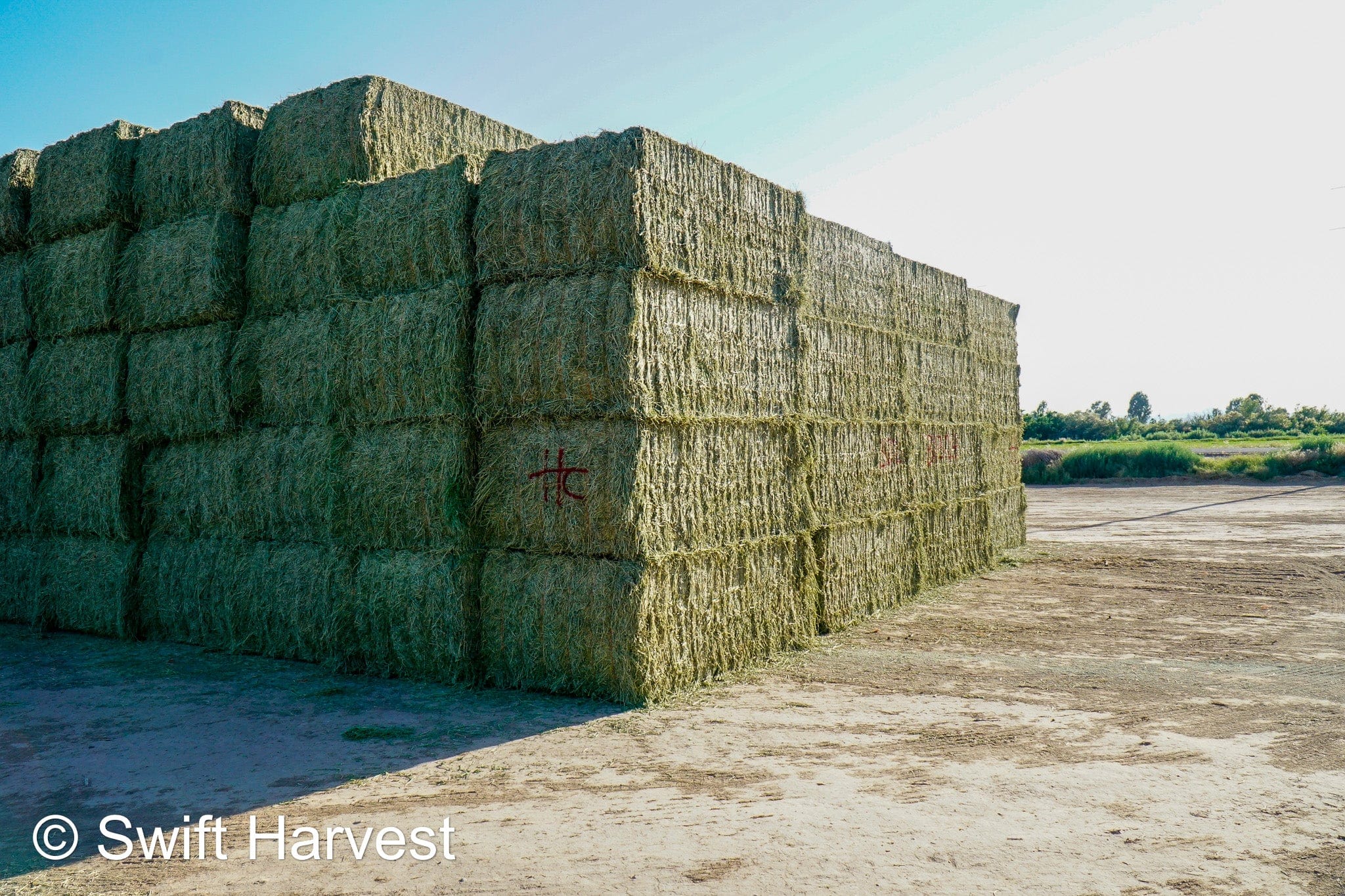 Martinez Farms Big Bale Alfalfa B1-3-24 Supreme Alfalfa Test Hay Big Bales RFV 195.94 CP 24.17 TDN 63.35 SH 93/110